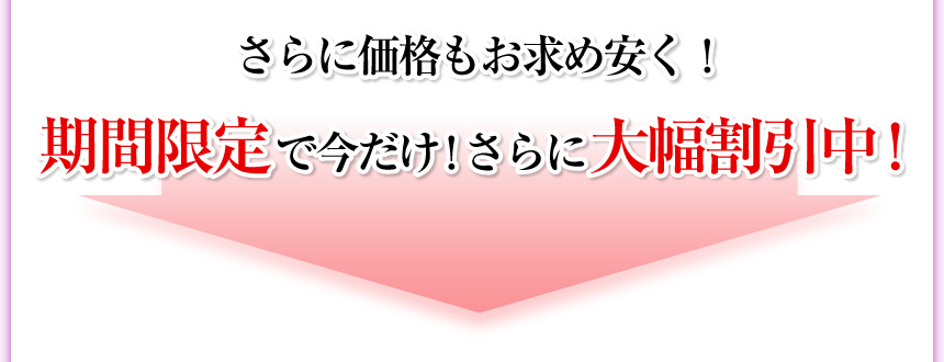 さらに価格もお求め安く！期間限定で今だけ！さらに大幅割引中！
