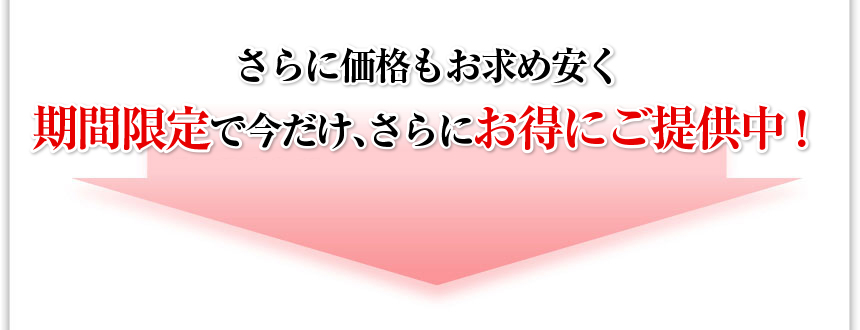 さらに価格もお求め安く！期間限定で今だけ！さらに大幅割引中！